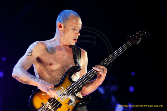 The Red Hot Chili Peppers at The Hangout Beach, Music, and Arts Festival of 2012.