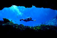 Underwater Stock Photographshttp://courtlandrichards.zenfolio.com/Copyright © 2013 Courtland William RichardsAll Rights Reserved