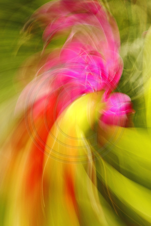 "A New Vibration" Floral Abstract