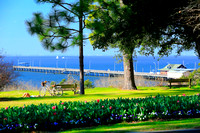 Thyme by the Bay in Fairhope for Alabama Magazine