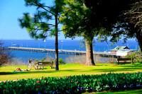 Thyme by the Bay in Fairhope for Alabama Magazine