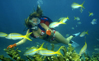 Underwater Stock Photographshttp://courtlandrichards.zenfolio.com/Copyright © 2013 Courtland William RichardsAll Rights Reserved