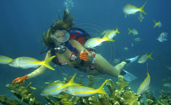Underwater Stock Photographshttp://courtlandrichards.zenfolio.com/Copyright © 2013 Courtland William RichardsAll Rights Reserved
