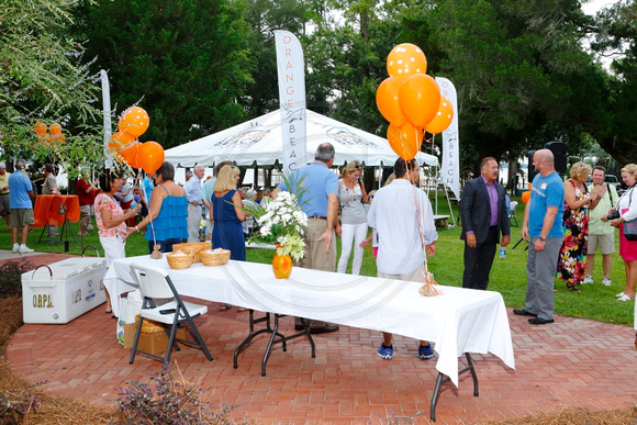 The City of Orange Beach 30th Birthday Celebration at the Coastal Art Center of Orange Beach, Alabama.http://courtlandrichards.zenfolio.com/Copyright © 2014 Courtland William RichardsAll Rights Reserv